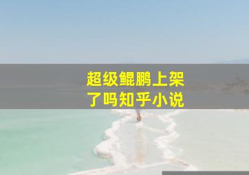 超级鲲鹏上架了吗知乎小说