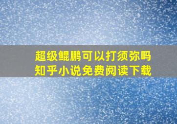 超级鲲鹏可以打须弥吗知乎小说免费阅读下载