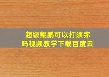 超级鲲鹏可以打须弥吗视频教学下载百度云