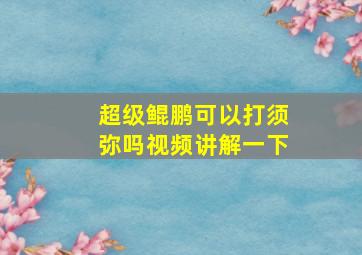 超级鲲鹏可以打须弥吗视频讲解一下