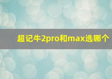 超记牛2pro和max选哪个