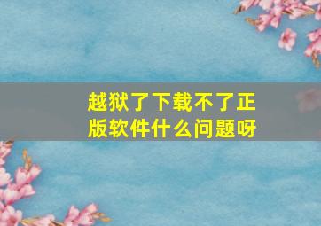 越狱了下载不了正版软件什么问题呀