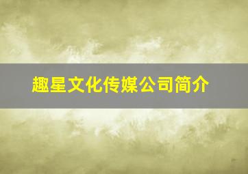 趣星文化传媒公司简介