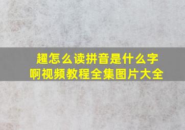 趯怎么读拼音是什么字啊视频教程全集图片大全