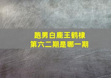 跑男白鹿王鹤棣第六二期是哪一期