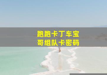 跑跑卡丁车宝哥组队卡密码