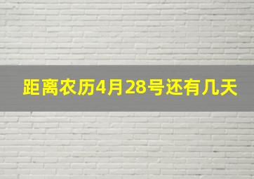 距离农历4月28号还有几天