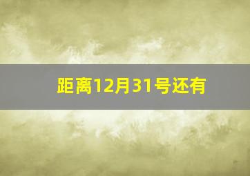 距离12月31号还有