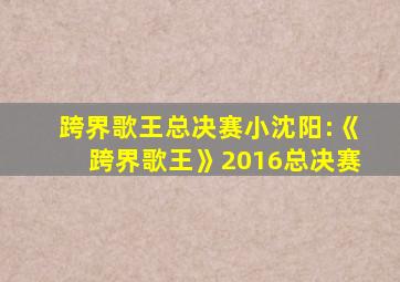 跨界歌王总决赛小沈阳:《跨界歌王》2016总决赛