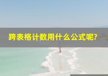 跨表格计数用什么公式呢?