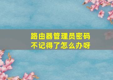 路由器管理员密码不记得了怎么办呀