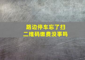 路边停车忘了扫二维码缴费没事吗