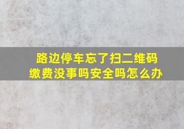 路边停车忘了扫二维码缴费没事吗安全吗怎么办