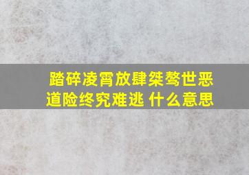 踏碎凌霄放肆桀骜世恶道险终究难逃 什么意思