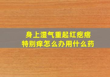 身上湿气重起红疙瘩特别痒怎么办用什么药