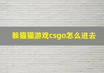 躲猫猫游戏csgo怎么进去