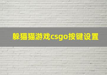 躲猫猫游戏csgo按键设置