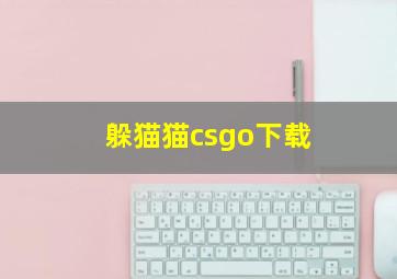 躲猫猫csgo下载