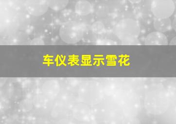 车仪表显示雪花