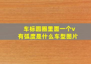 车标圆圈里面一个v有弧度是什么车型图片