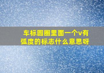 车标圆圈里面一个v有弧度的标志什么意思呀