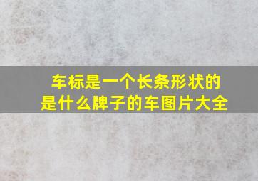 车标是一个长条形状的是什么牌子的车图片大全