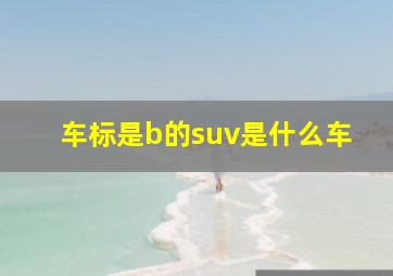 车标是b的suv是什么车