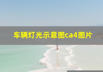 车辆灯光示意图ca4图片