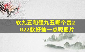 软九五和硬九五哪个贵2022款好抽一点呢图片