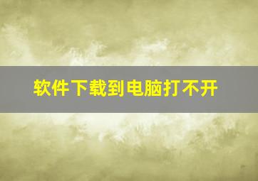 软件下载到电脑打不开