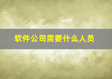 软件公司需要什么人员