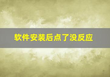 软件安装后点了没反应