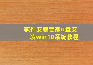 软件安装管家u盘安装win10系统教程