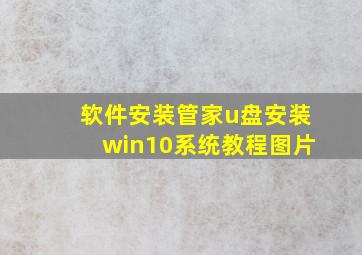 软件安装管家u盘安装win10系统教程图片