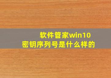 软件管家win10密钥序列号是什么样的