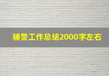 辅警工作总结2000字左右