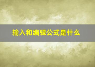 输入和编辑公式是什么