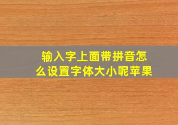 输入字上面带拼音怎么设置字体大小呢苹果