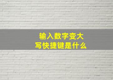 输入数字变大写快捷键是什么