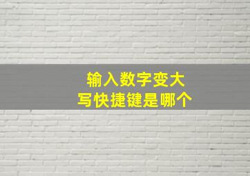 输入数字变大写快捷键是哪个