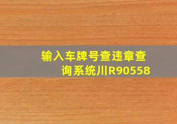 输入车牌号查违章查询系统川R90558