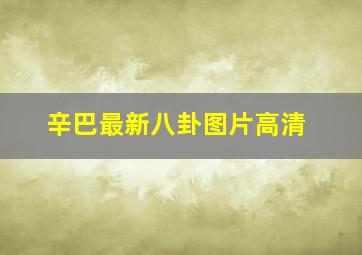 辛巴最新八卦图片高清