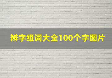 辨字组词大全100个字图片