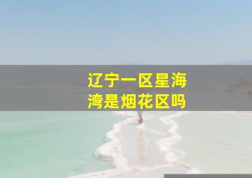 辽宁一区星海湾是烟花区吗