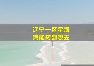 辽宁一区星海湾能转到哪去