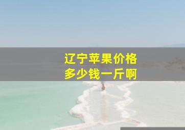 辽宁苹果价格多少钱一斤啊