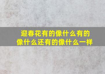 迎春花有的像什么有的像什么还有的像什么一样