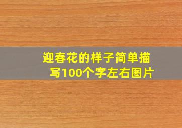 迎春花的样子简单描写100个字左右图片