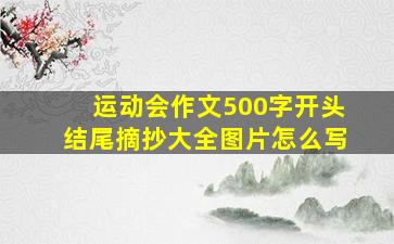 运动会作文500字开头结尾摘抄大全图片怎么写