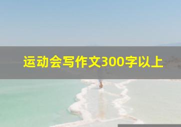 运动会写作文300字以上